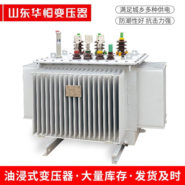 S13-10000/35临清临清临清电力变压器